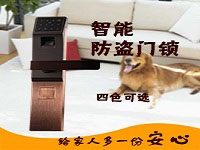 Ӣ��Micropara΢�������������� ���Կ�׿�����ʱ��